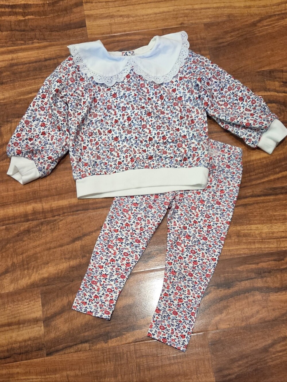 Janie and Jack EUC 2T Floral Sweatshirt and Leggings Set